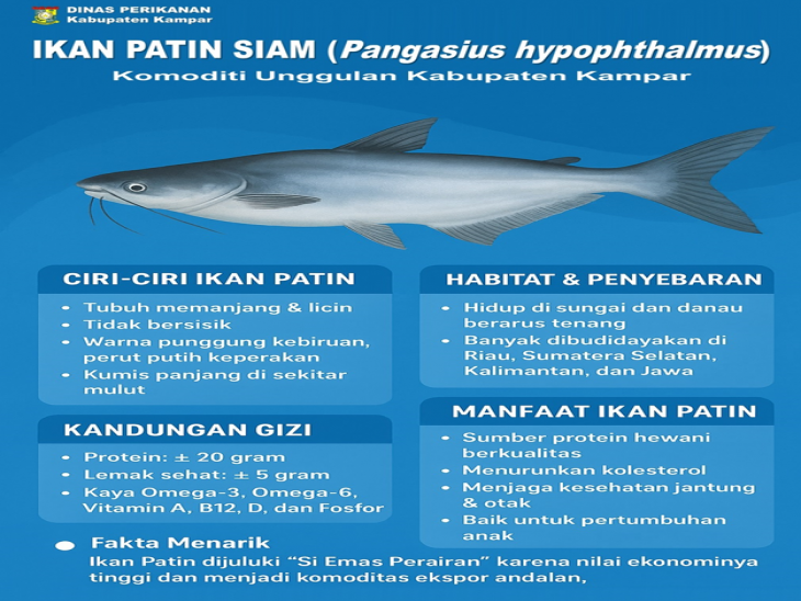Ikan Patin: Komoditi Unggulan yang mengangkat Perekonomian Kabupaten Kampar